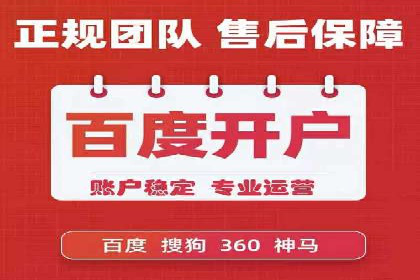 专业SEM运营托管服务案例分析
